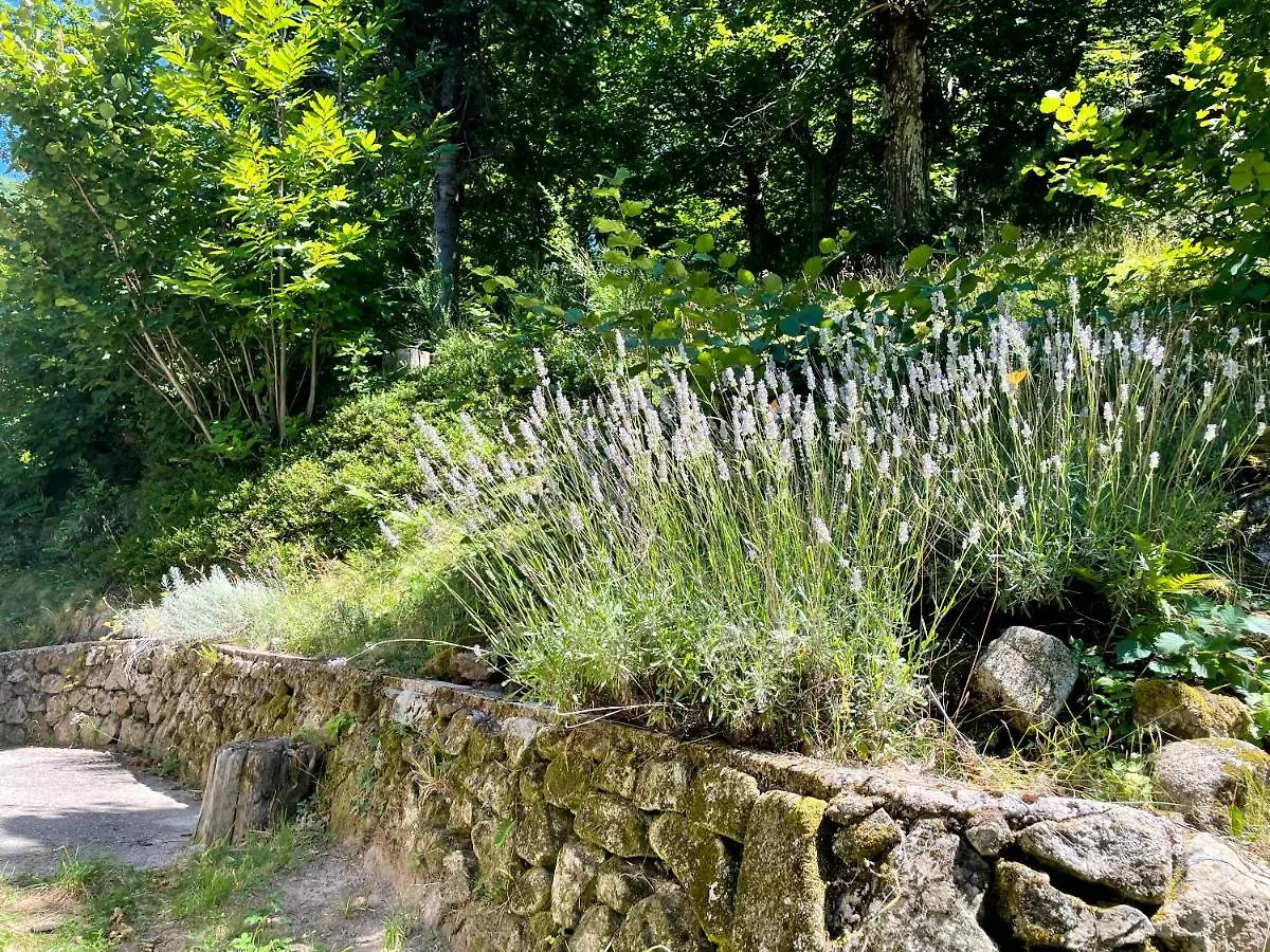Gite Des Sausses Dans Une Nature Preservee Burzet 0*,  France