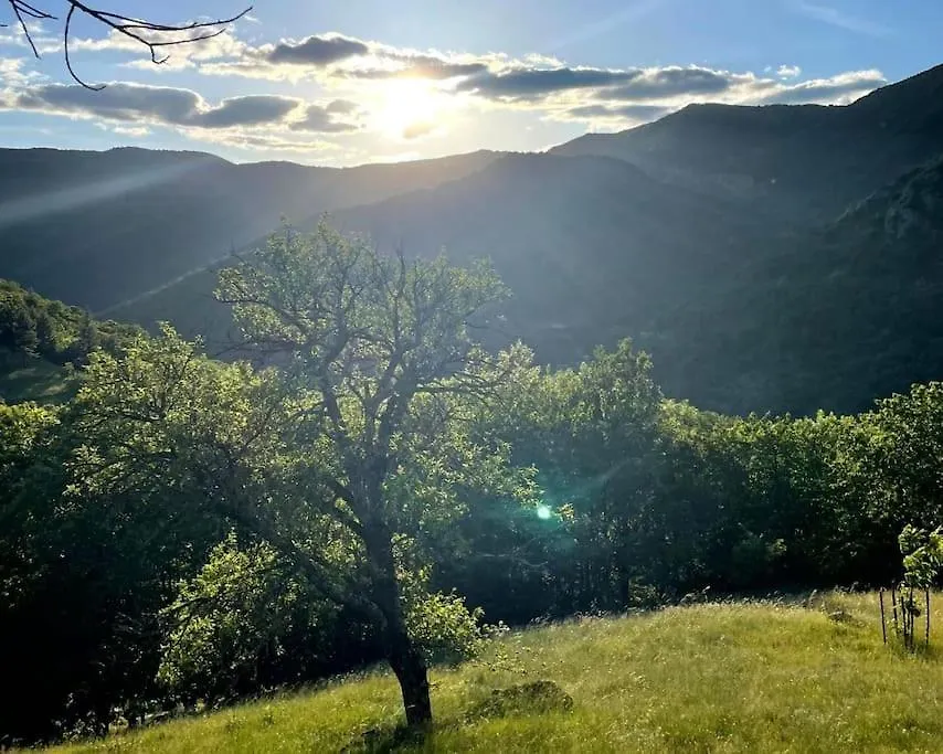 Gite Des Sausses Dans Une Nature Preservee Burzet Holiday home
